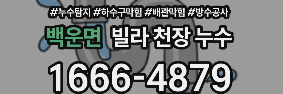 백운면 빌라 천장 누수