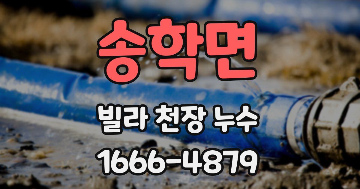 송학면 빌라 천장 누수