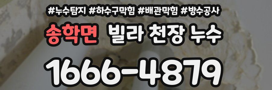 송학면 빌라 천장 누수