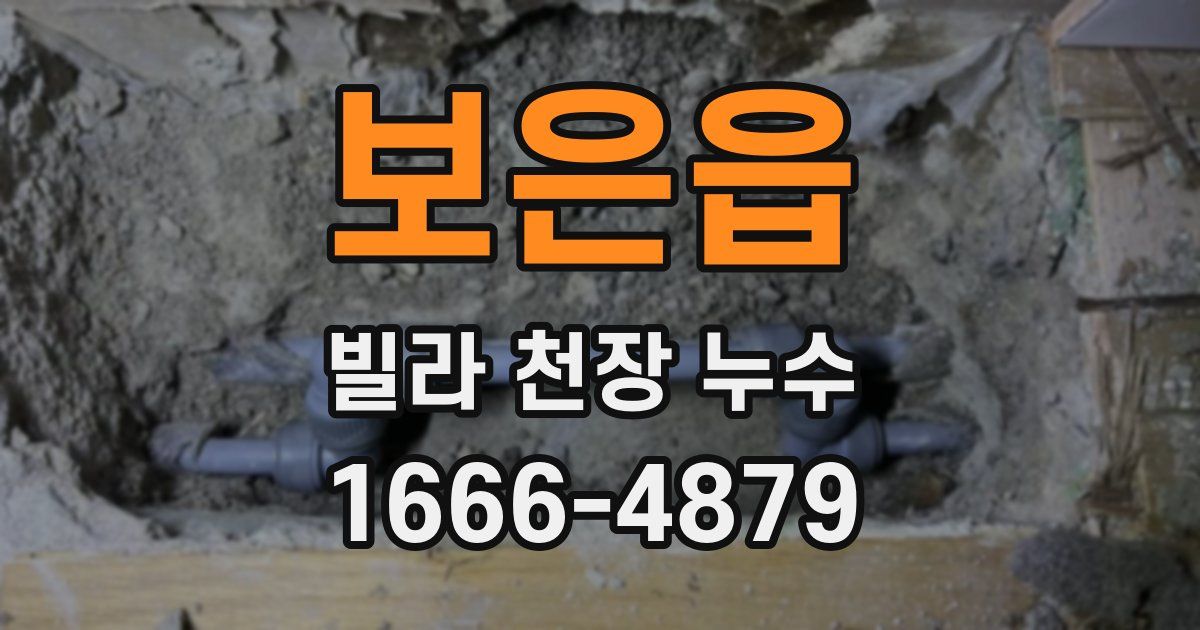 보은읍 빌라 천장 누수