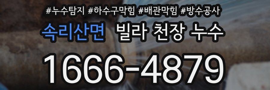 속리산면 빌라 천장 누수