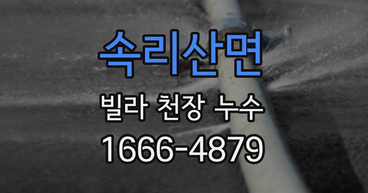 속리산면 빌라 천장 누수