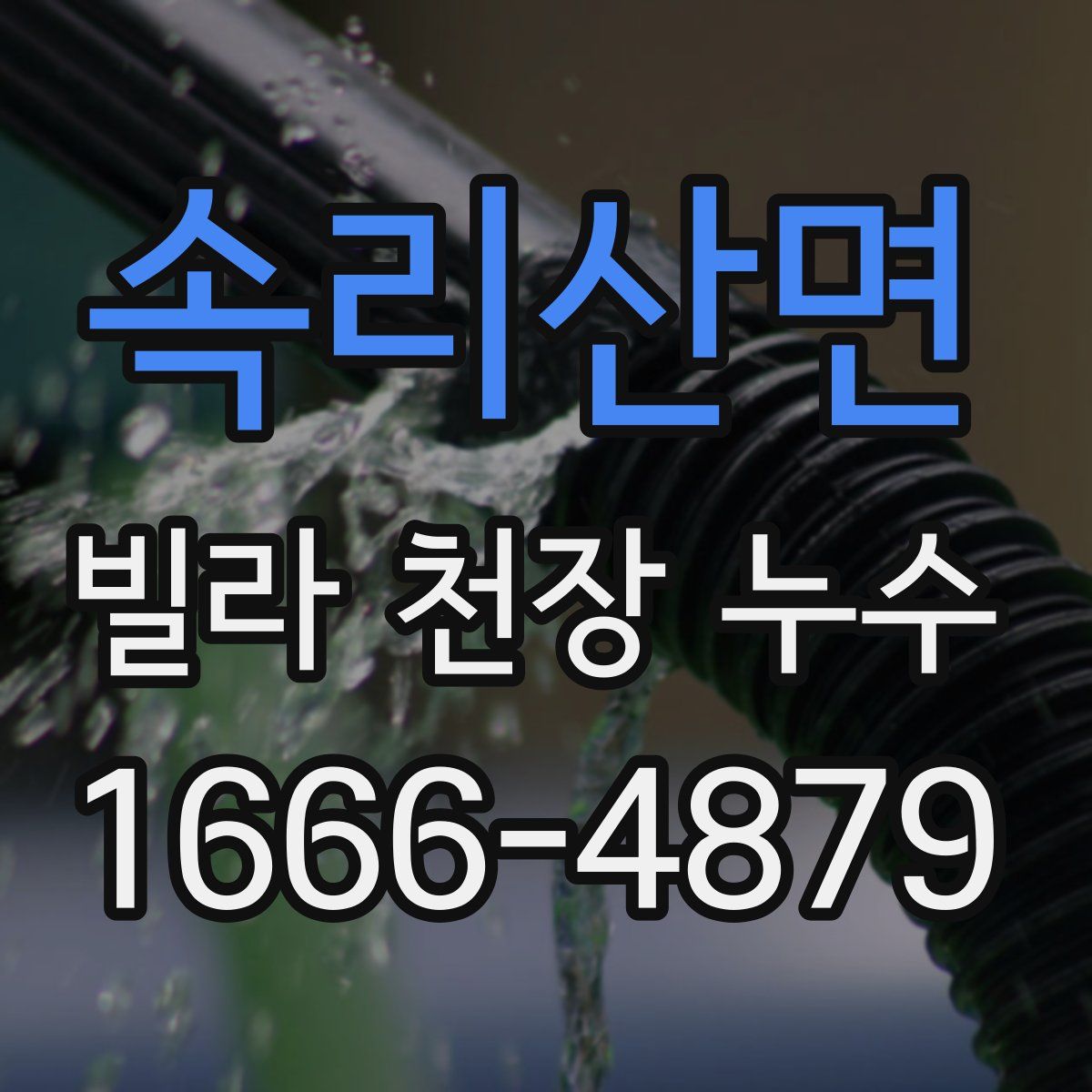 속리산면 빌라 천장 누수