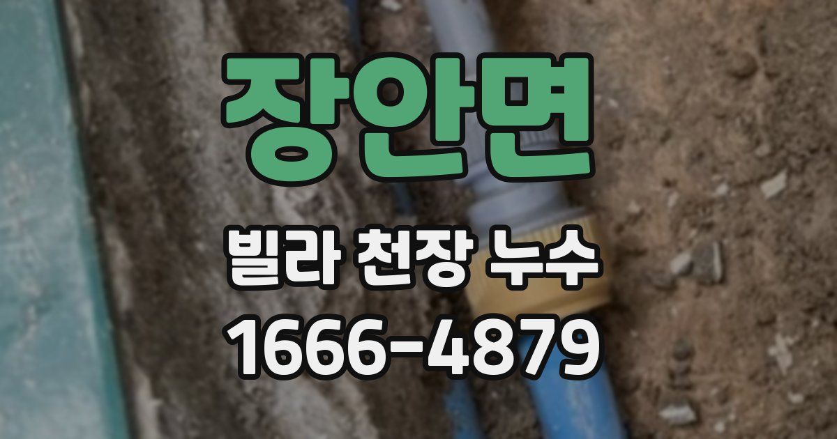 장안면 빌라 천장 누수