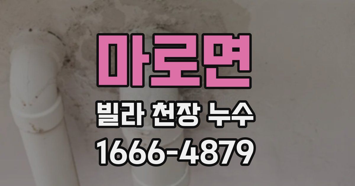 마로면 빌라 천장 누수