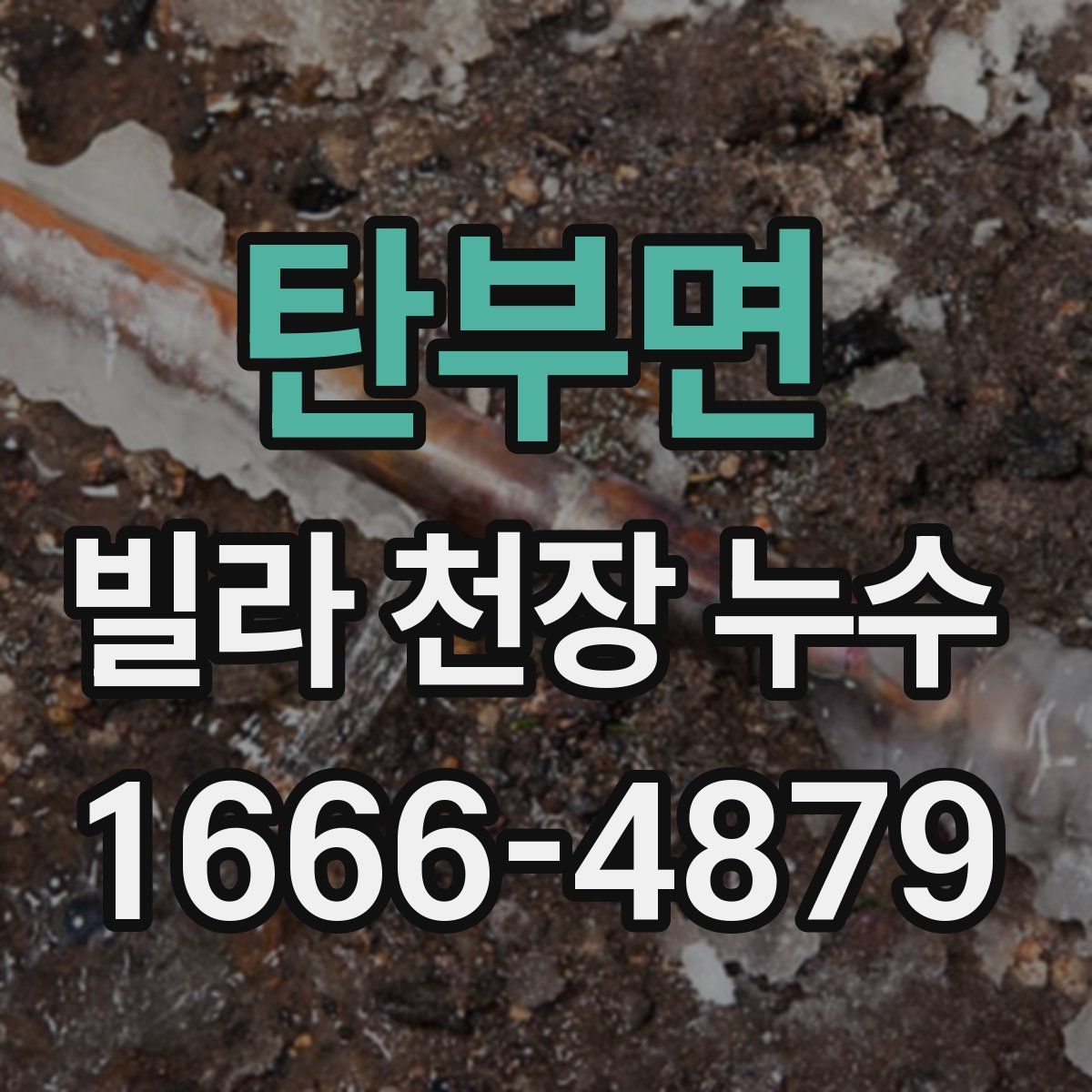 탄부면 빌라 천장 누수