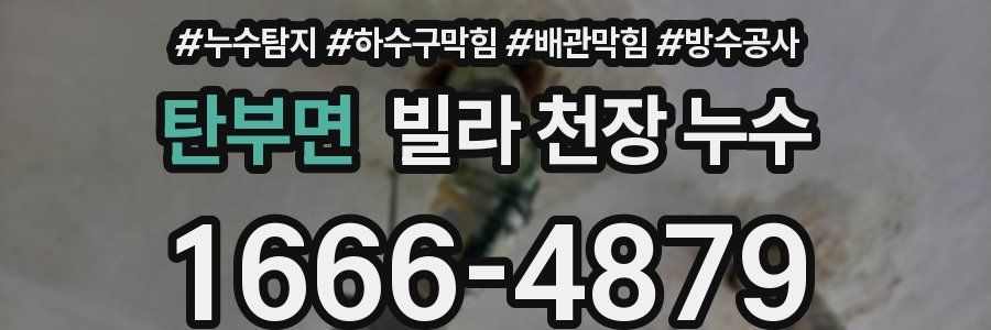 탄부면 빌라 천장 누수
