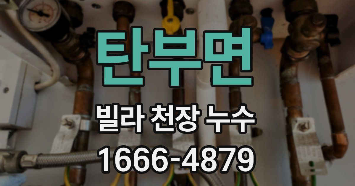 탄부면 빌라 천장 누수