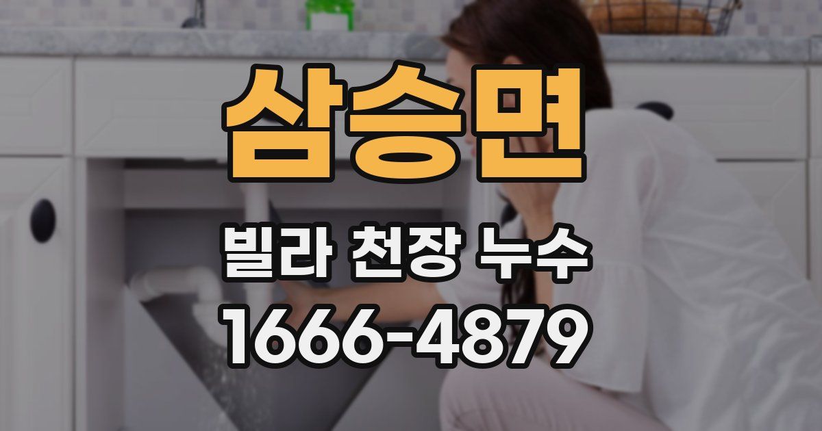 삼승면 빌라 천장 누수