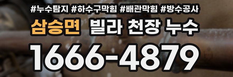 삼승면 빌라 천장 누수