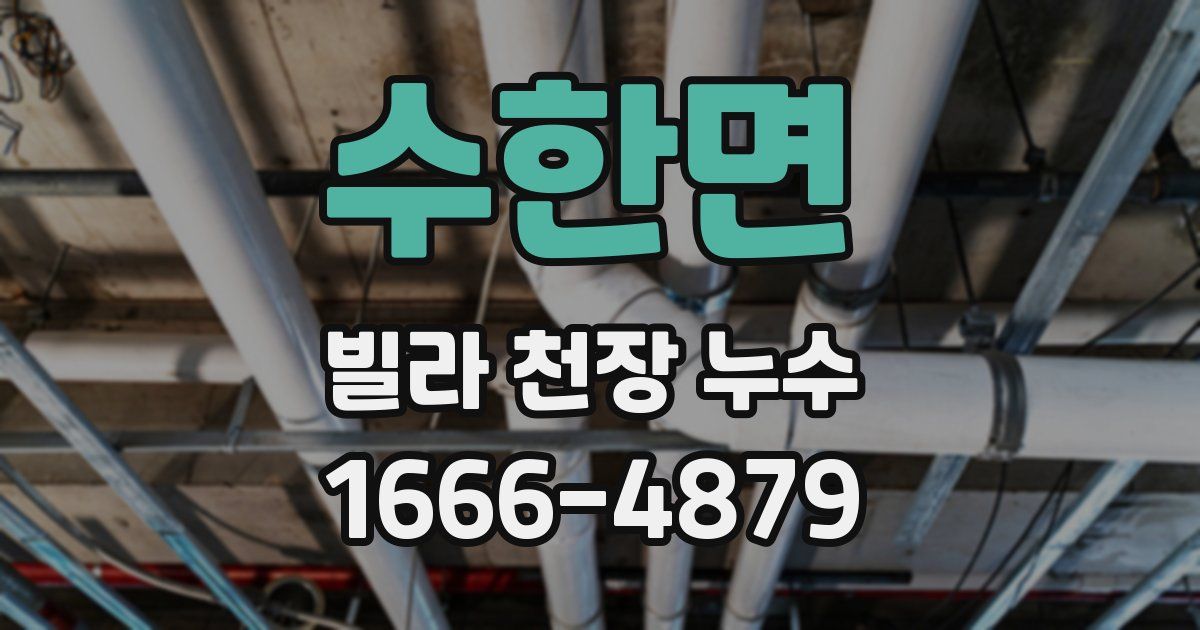 수한면 빌라 천장 누수
