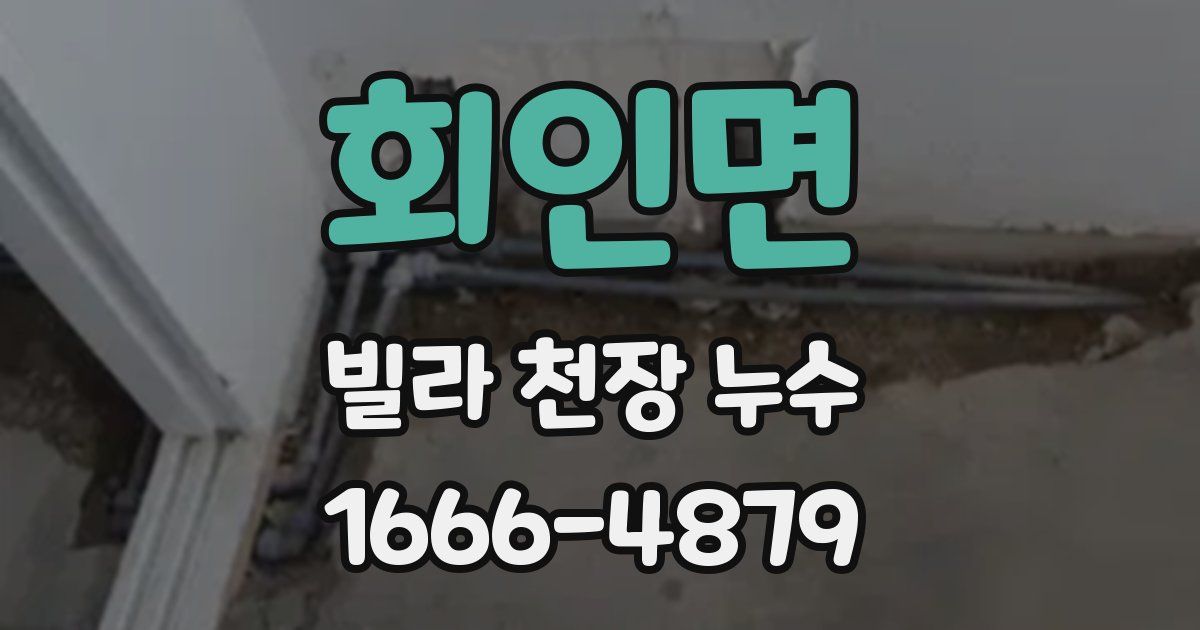 회인면 빌라 천장 누수