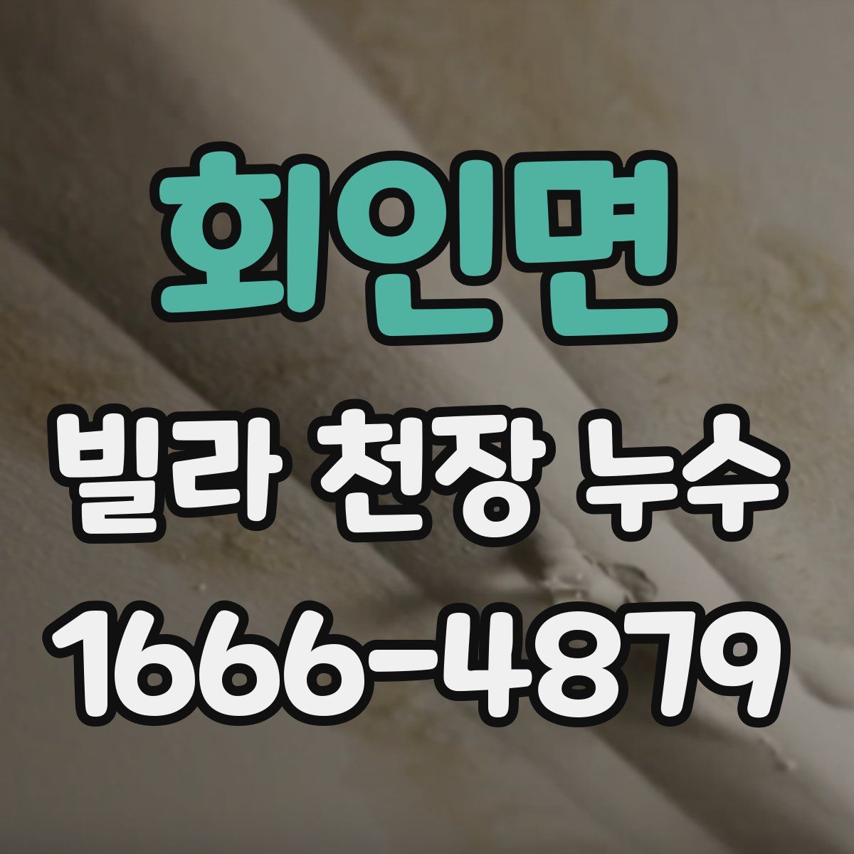 회인면 빌라 천장 누수