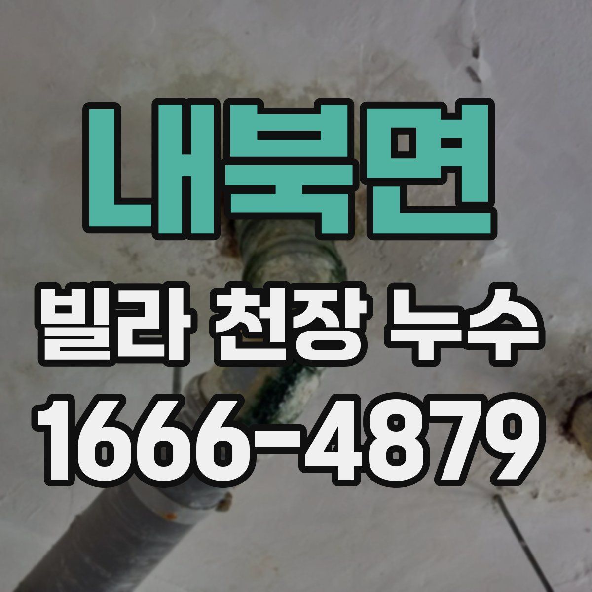 내북면 빌라 천장 누수