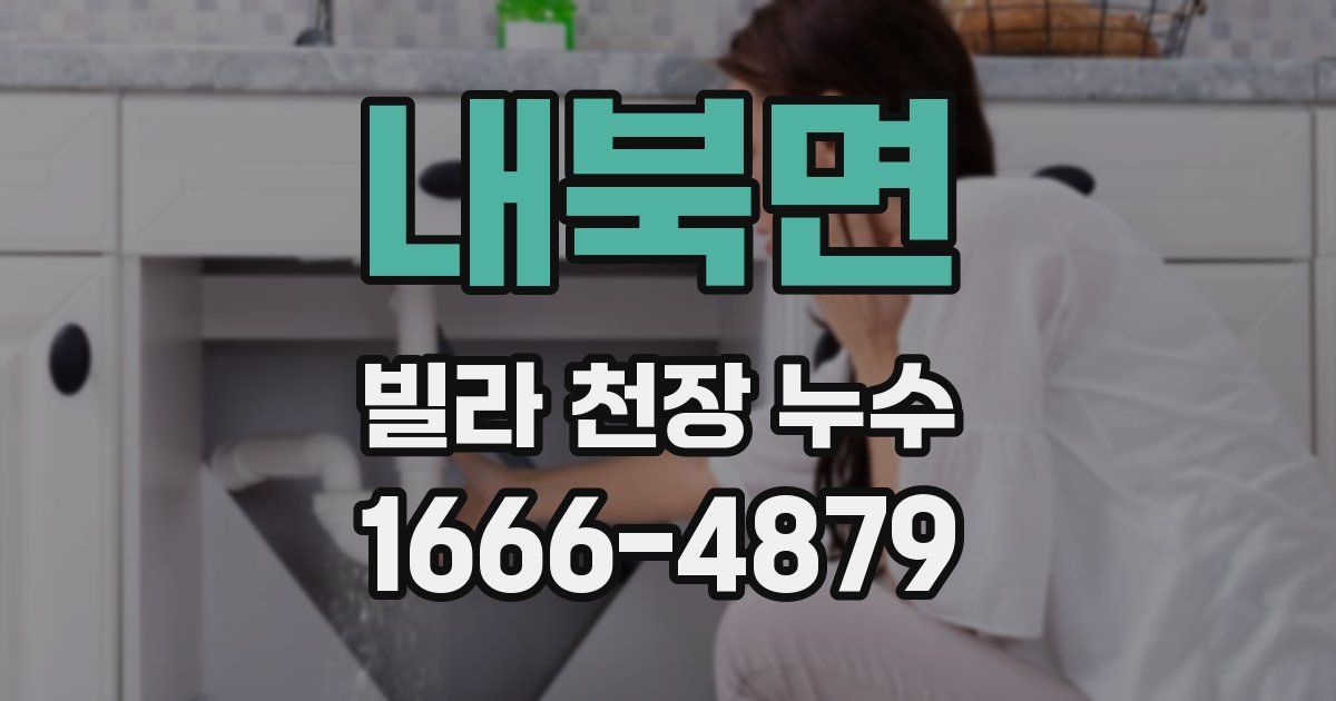 내북면 빌라 천장 누수