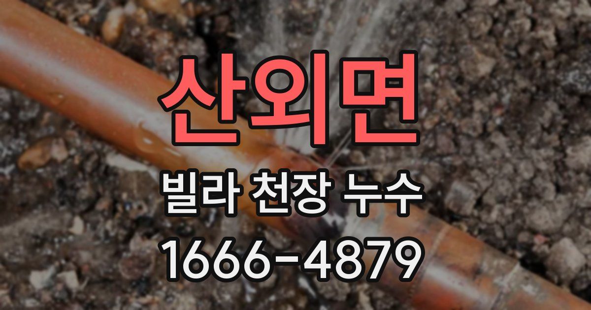 산외면 빌라 천장 누수