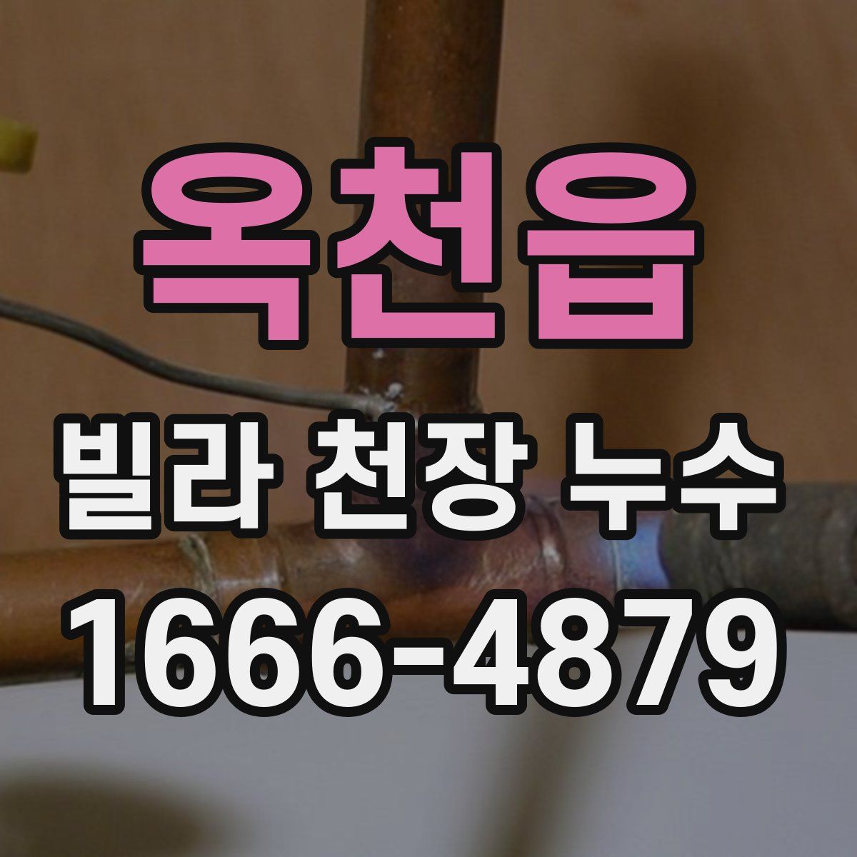 옥천읍 빌라 천장 누수