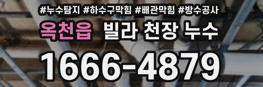 옥천읍 빌라 천장 누수