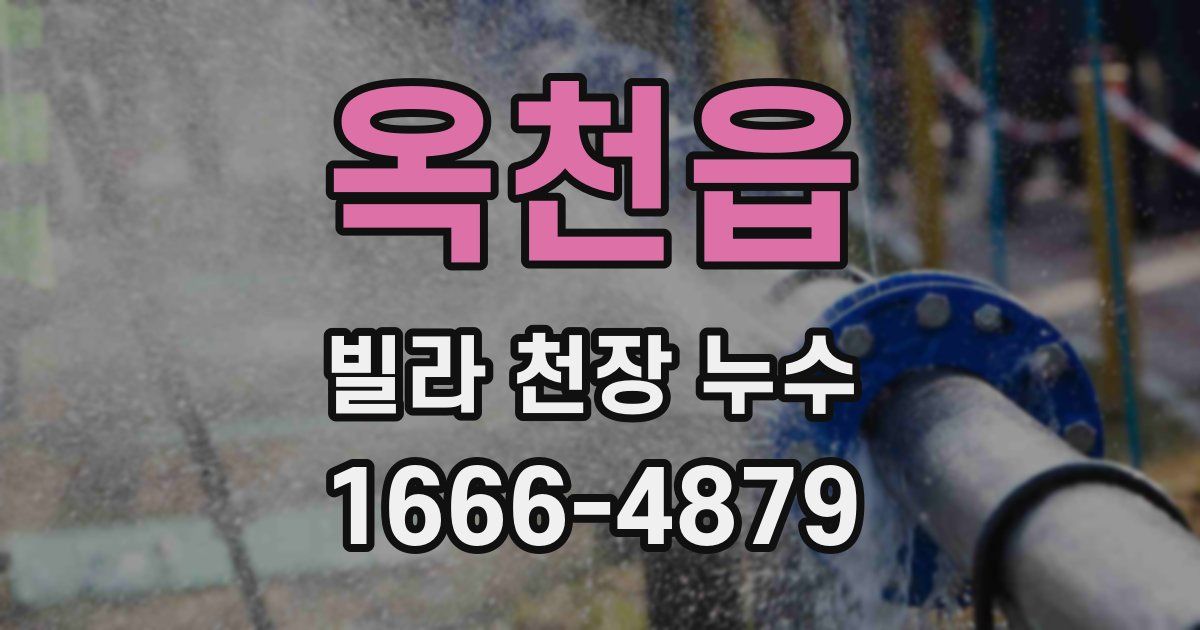 옥천읍 빌라 천장 누수