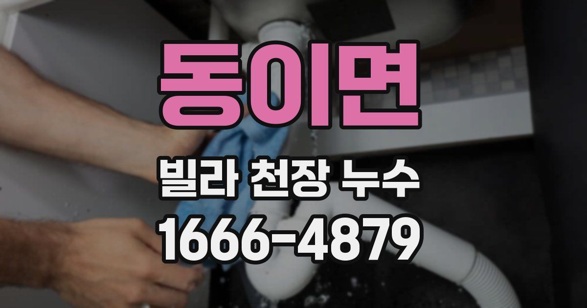 동이면 빌라 천장 누수