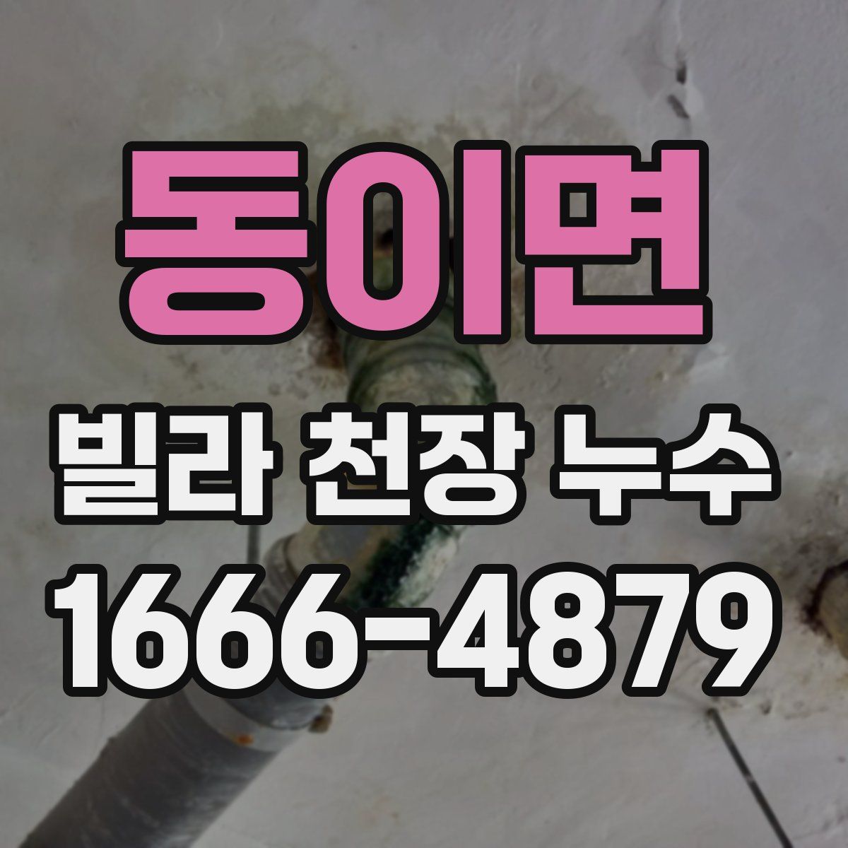동이면 빌라 천장 누수