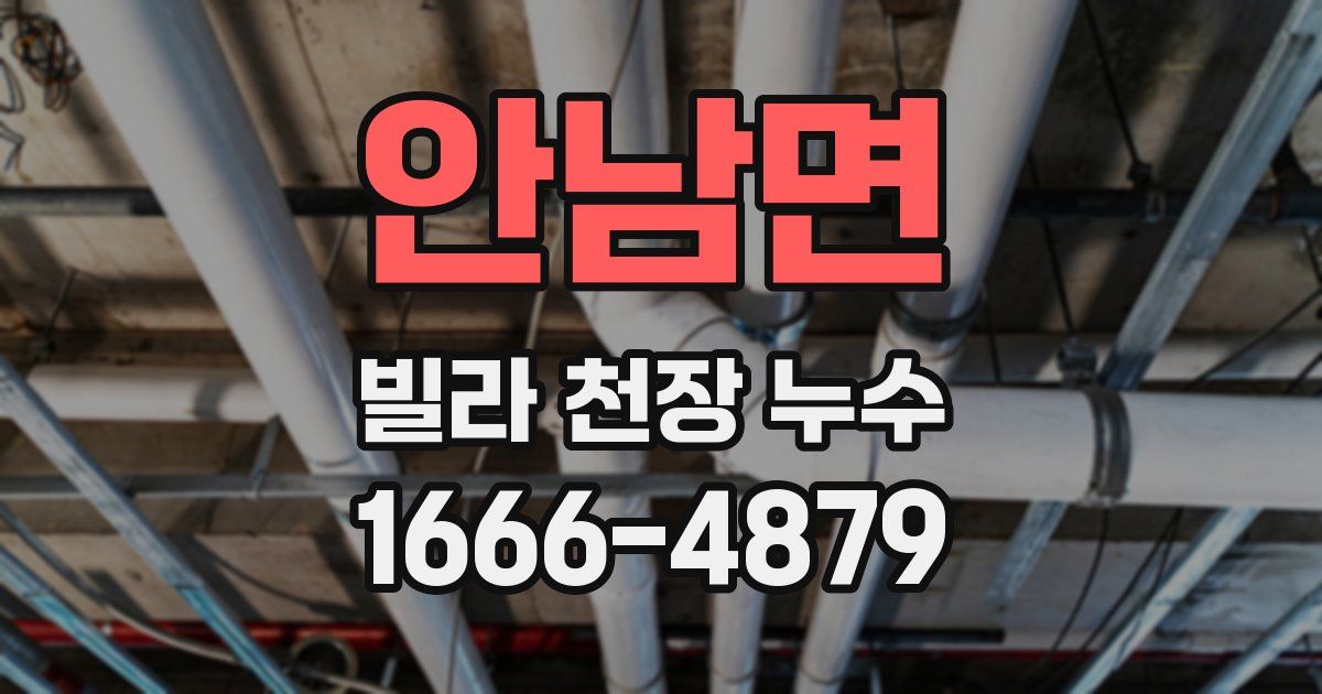 안남면 빌라 천장 누수