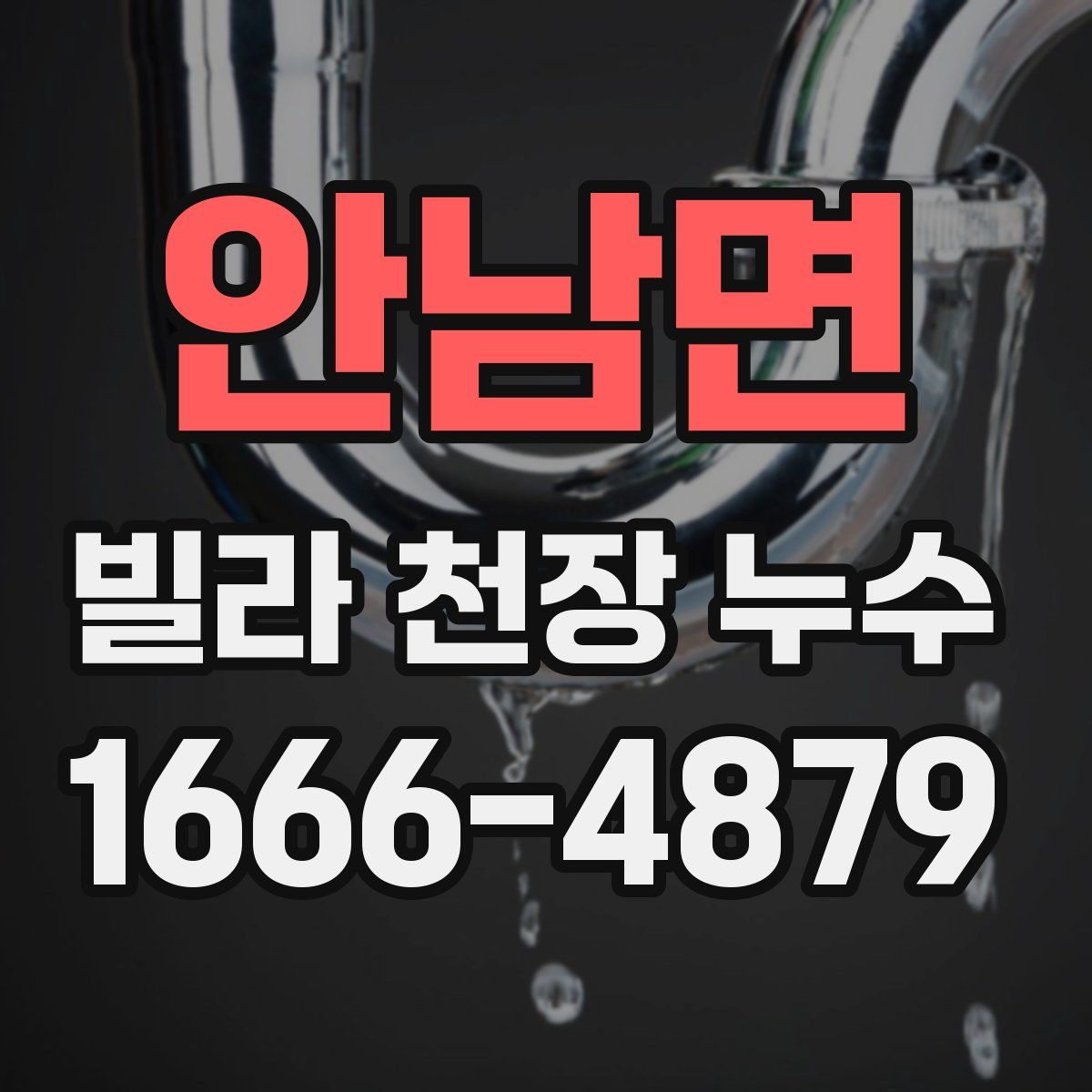 안남면 빌라 천장 누수