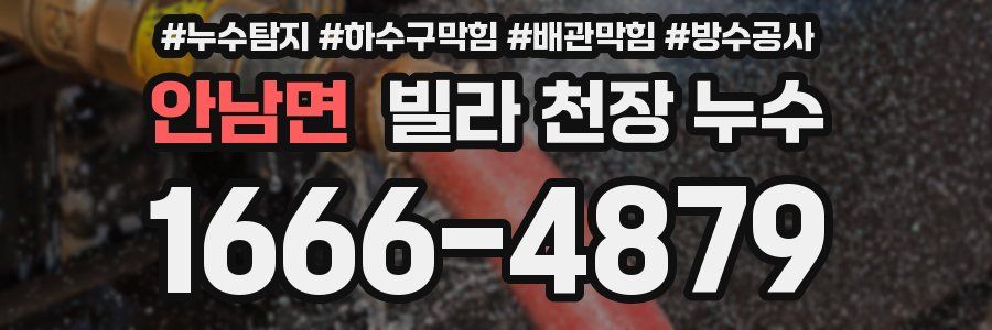 안남면 빌라 천장 누수