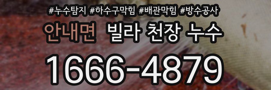 안내면 빌라 천장 누수