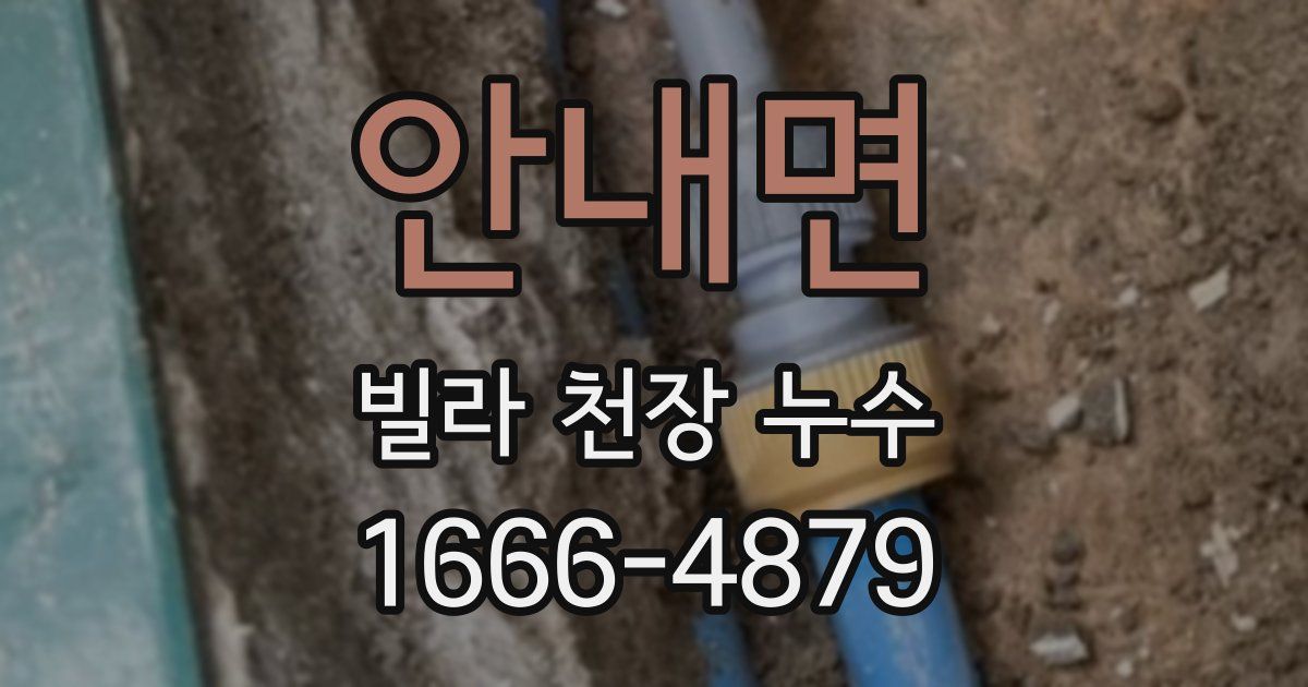 안내면 빌라 천장 누수