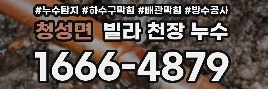 청성면 빌라 천장 누수