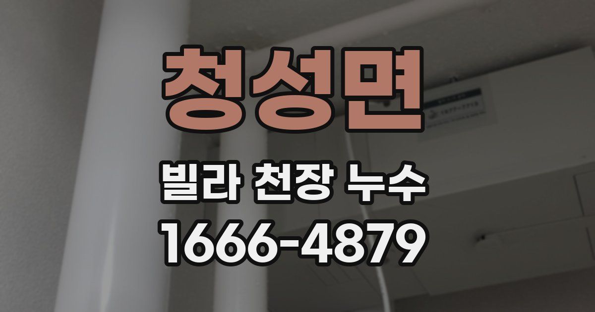 청성면 빌라 천장 누수