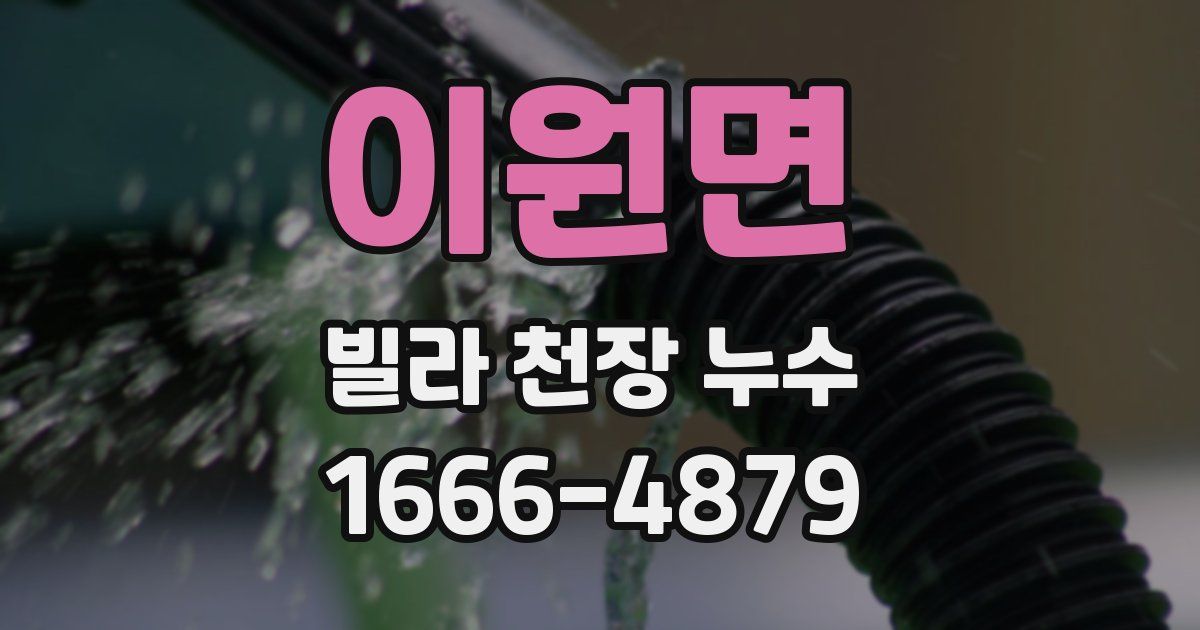 이원면 빌라 천장 누수