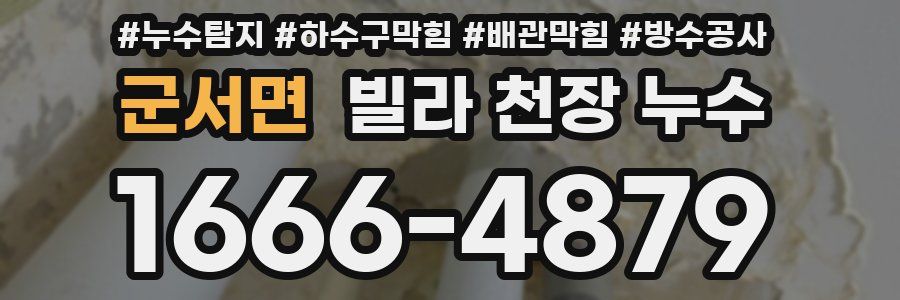 군서면 빌라 천장 누수