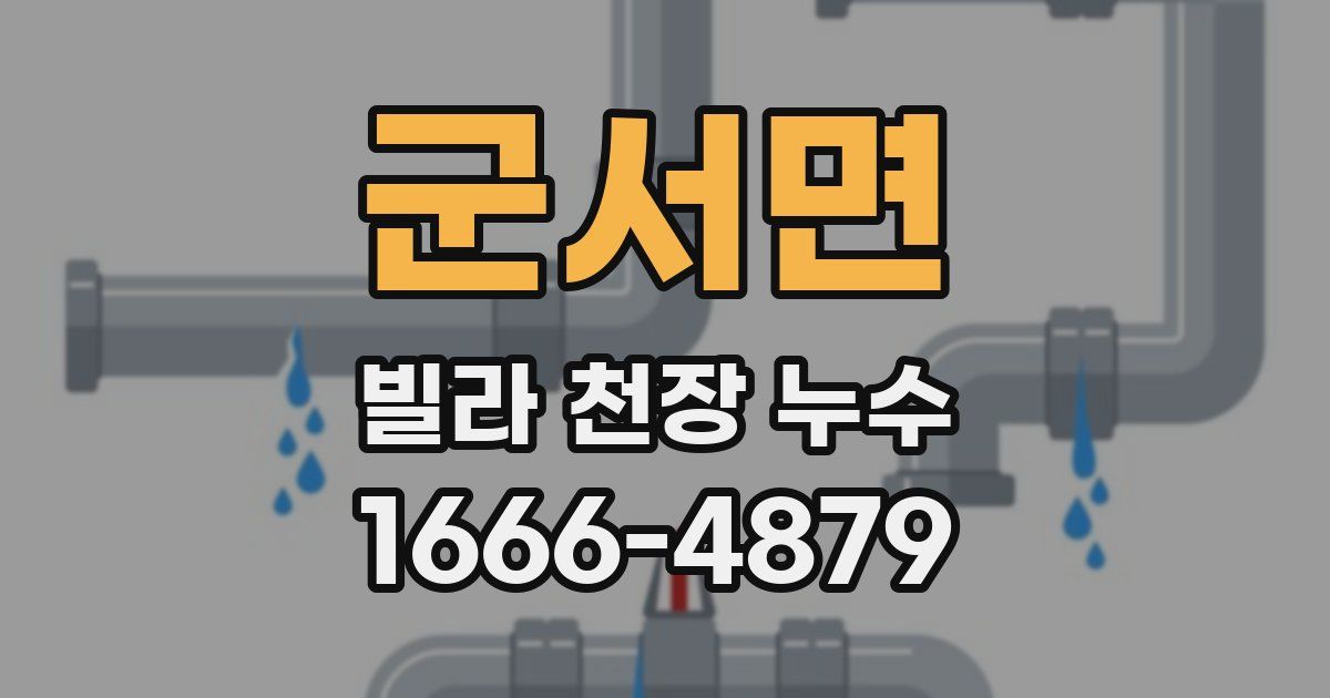 군서면 빌라 천장 누수