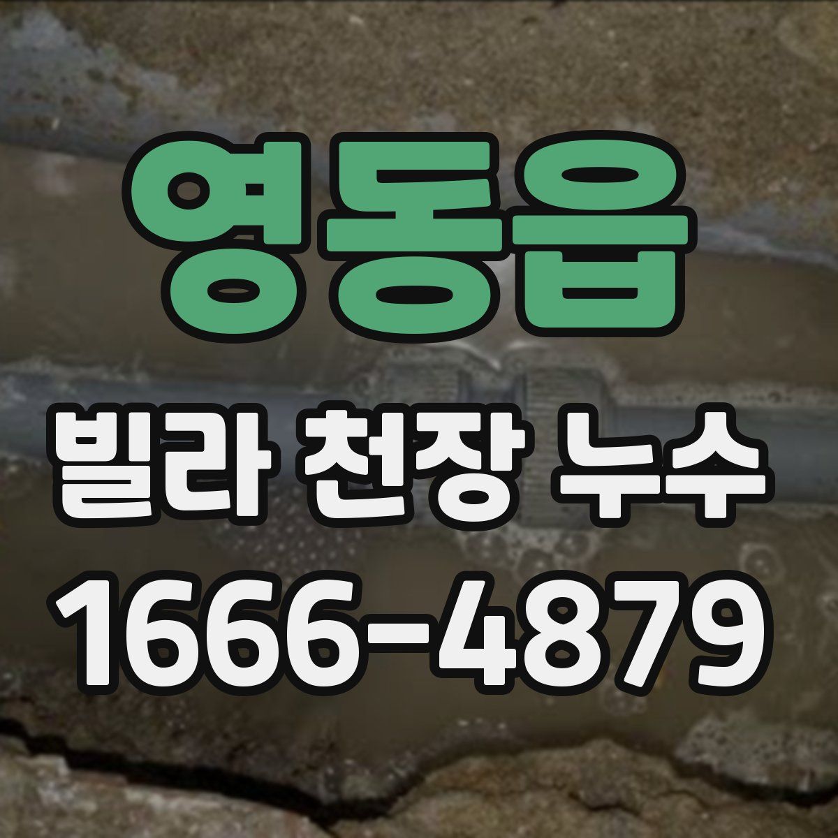 영동읍 빌라 천장 누수