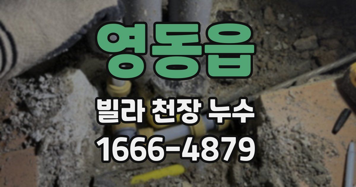 영동읍 빌라 천장 누수