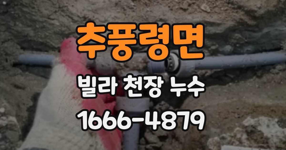 추풍령면 빌라 천장 누수