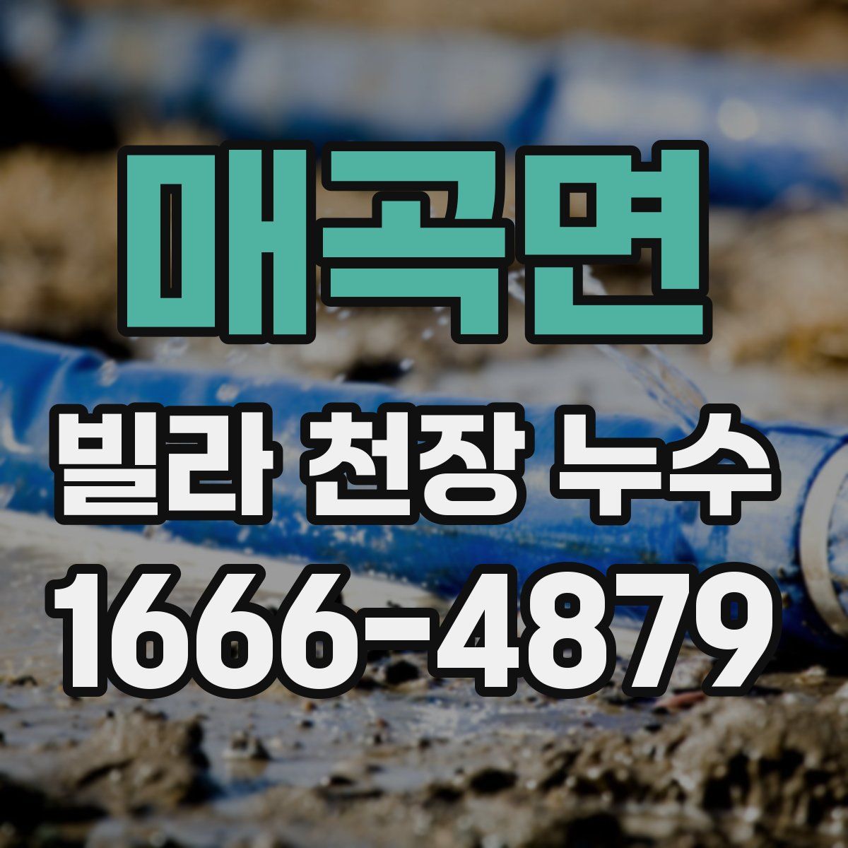 매곡면 빌라 천장 누수
