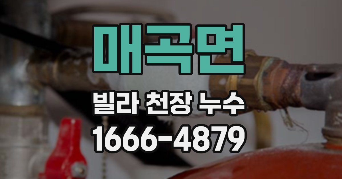 매곡면 빌라 천장 누수