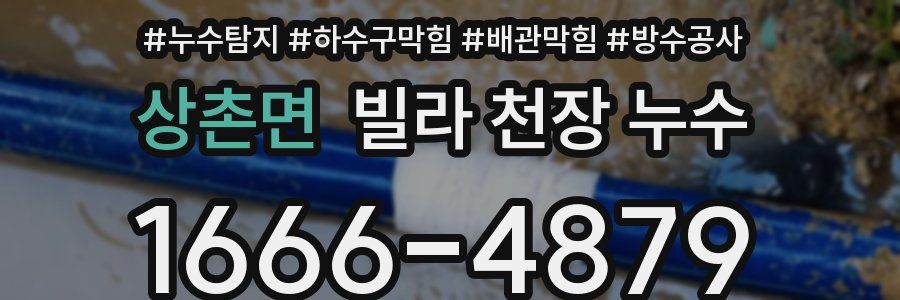 상촌면 빌라 천장 누수