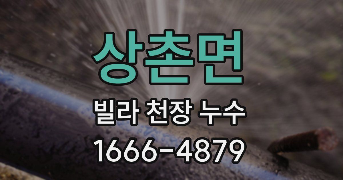 상촌면 빌라 천장 누수