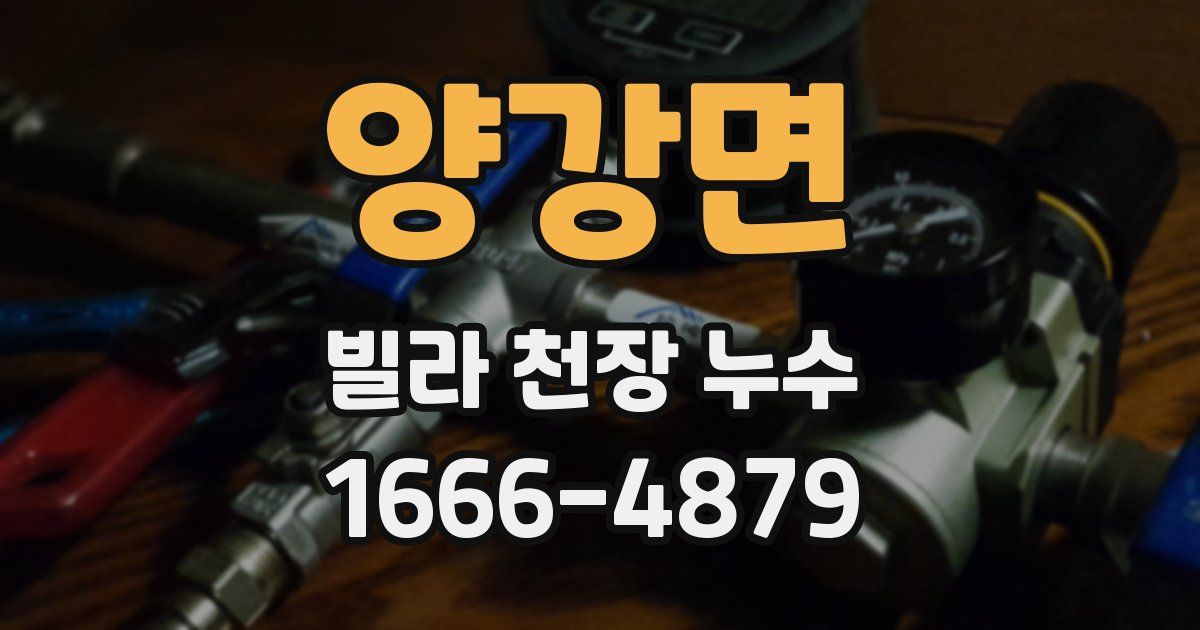 양강면 빌라 천장 누수