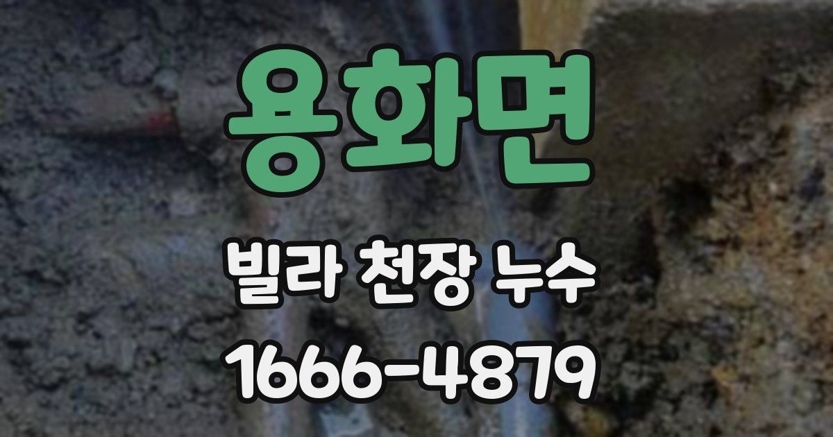 용화면 빌라 천장 누수