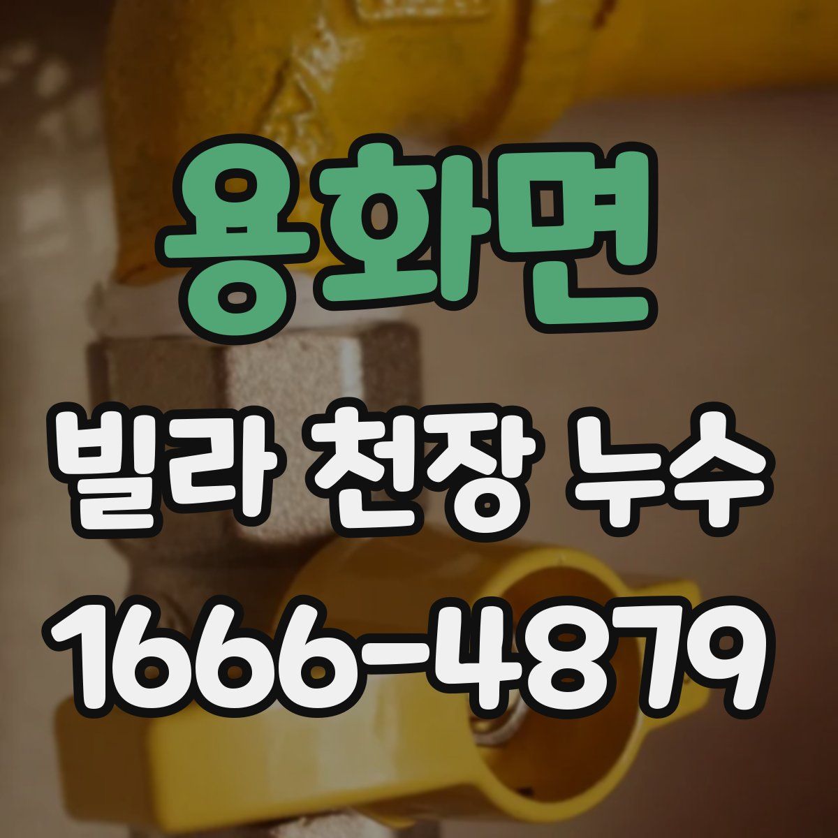 용화면 빌라 천장 누수