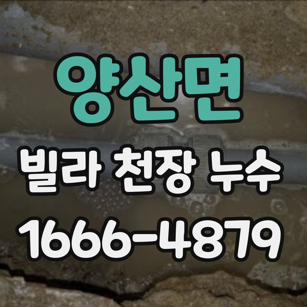 양산면 빌라 천장 누수