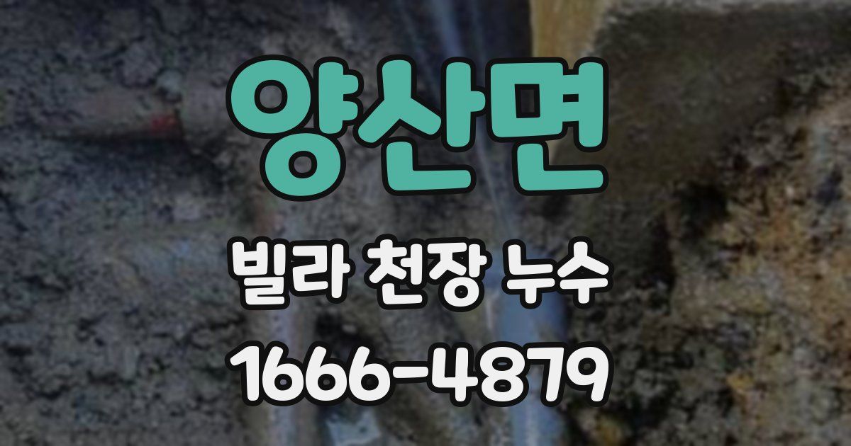 양산면 빌라 천장 누수