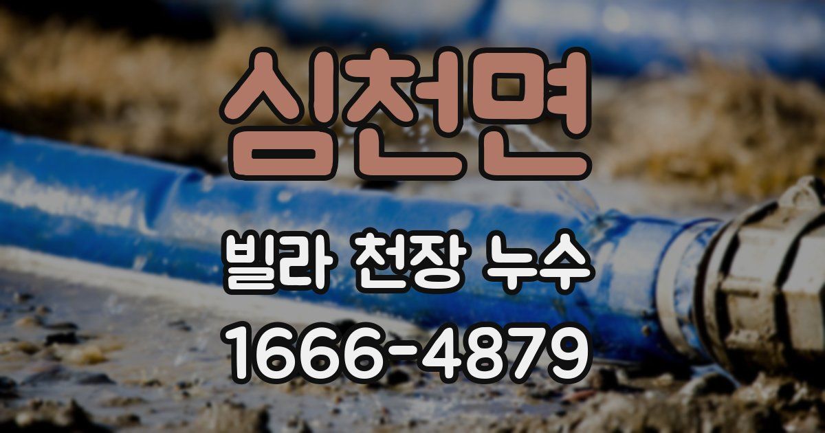 심천면 빌라 천장 누수