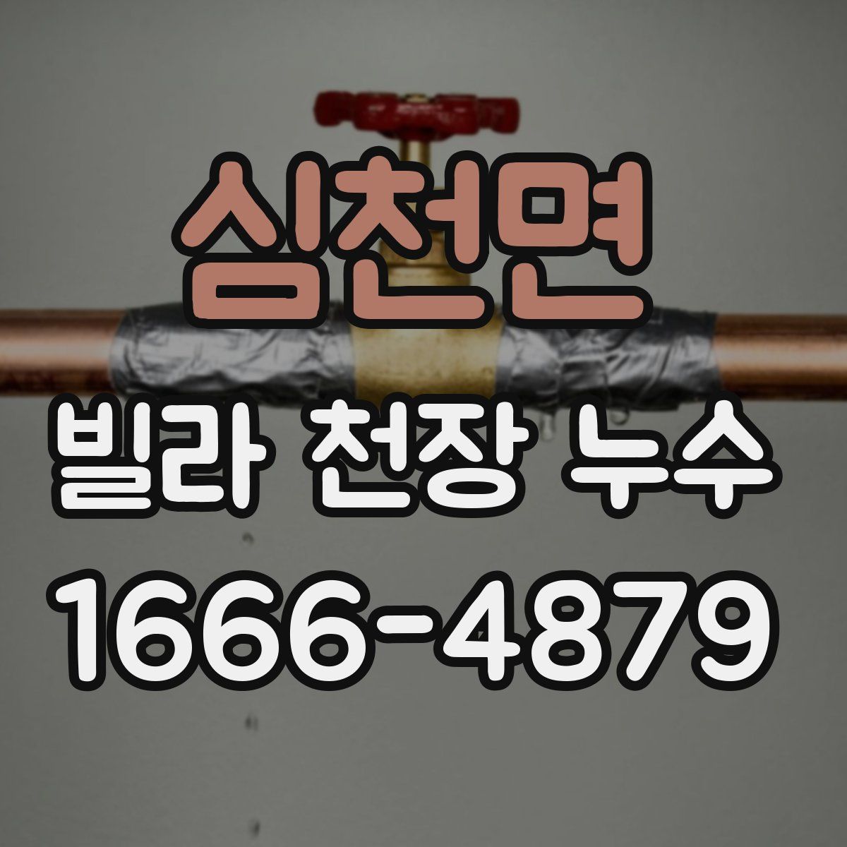 심천면 빌라 천장 누수