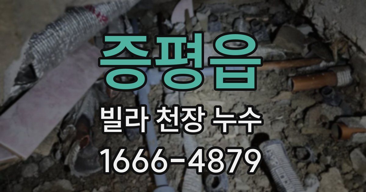 증평읍 빌라 천장 누수